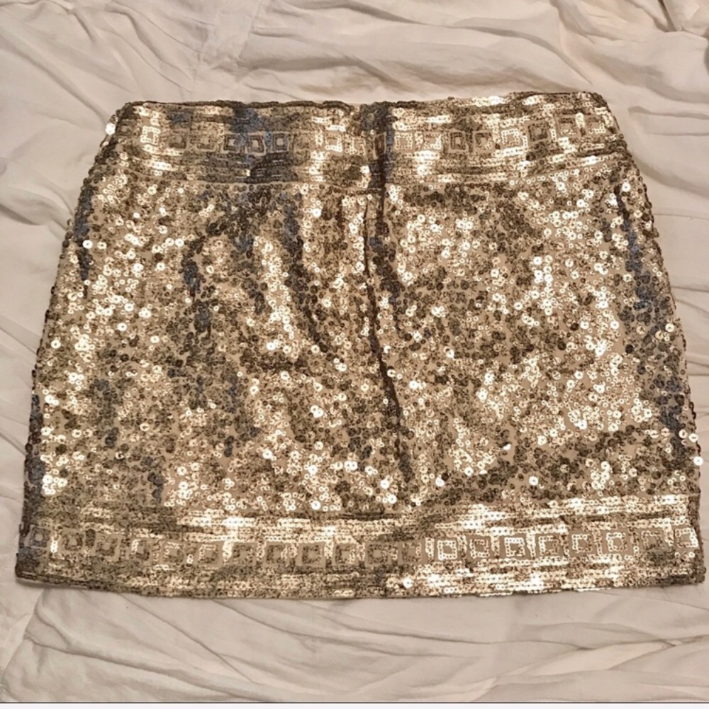 Sequin Skirt